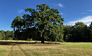 Idyllischer Rastplatz, Foto: Jörg Bartz, Lizenz: TV Ruppiner Seenland e.V.