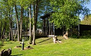 Ufercafé am Klostersee, Foto: Steffen Lehmann, Lizenz: TMB-Fotoarchiv