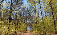 Blick auf den See, Foto: Antje Tischer, Lizenz: TMB Fotoarchiv