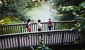 Brücke über die Löcknitz, Foto: Christoph Creutzburg