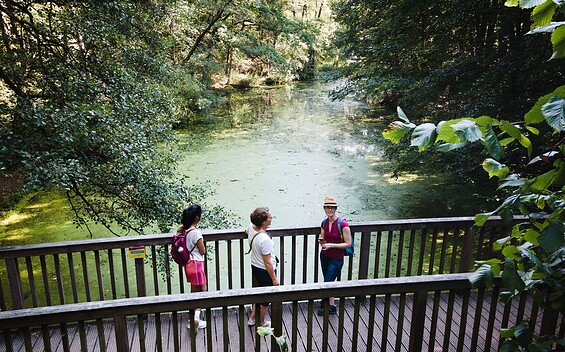 Bridge over the Löcknitz, Foto: Christoph Creutzburg