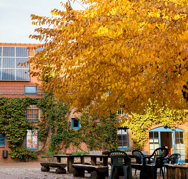 Reiter- und Erlebnisbauernhof Groß Briesen - Eventlocation & Workation