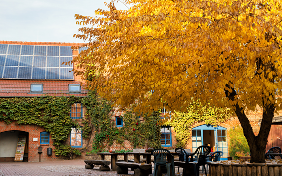 Reiter- und Erlebnisbauernhof Groß Briesen - Eventlocation & Workation