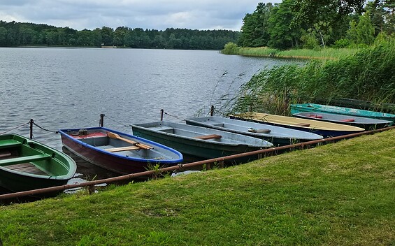 Blick auf den Tornower See, Foto: Juliane Frank, Lizenz: Tourismusverband Dahme-Seenland e.V.