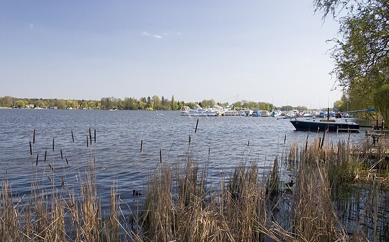 Zeuthener See, Foto: Petra Förster, Lizenz: Tourismusverband Dahme-Seenland e.V.