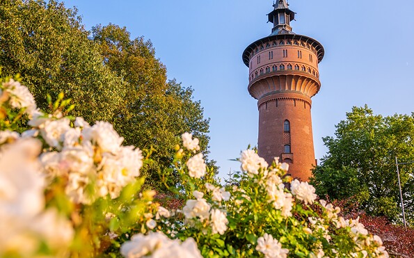 Forster Wasserturm, Foto: Patrick Lucia, Lizenz: PatLografie