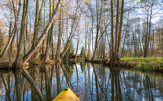 Kanutour im Spreewald, Foto: Steffen Lehmann, Lizenz: TMB Tourismus-Marketing Brandenburg GmbH