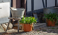 Museum und Begegnungsstätte &quot;Alter Krug&quot;, Foto: TMB-Fotoarchiv/ScottyScout