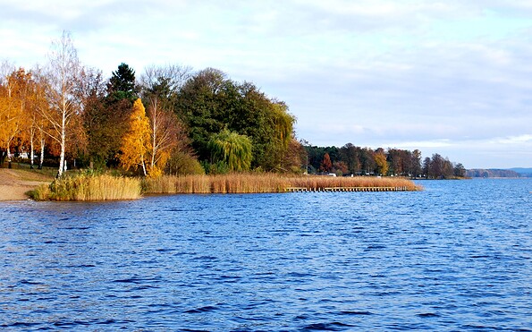 Jesień w Wendisch Rietz nad jeziorem Scharmützelsee, Foto: Danny Morgenstern, Lizenz: Tourismusverein Scharmützelsee