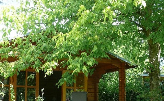 Zimmervermietung Fromme, Foto: Tourismusverband SOS