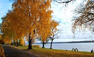 Jesień w Wendisch Rietz nad Jeziorem Scharmützelsee, Foto: Danny Morgenstern, Lizenz: Tourismusverein Scharmützelsee