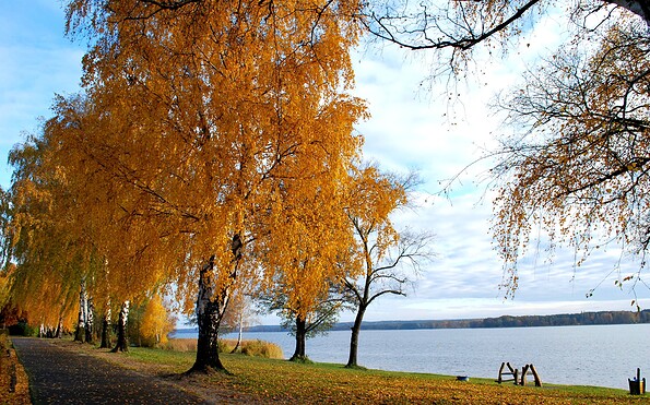 Jesień w Wendisch Rietz nad Jeziorem Scharmützelsee, Foto: Danny Morgenstern, Lizenz: Tourismusverein Scharmützelsee