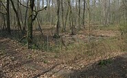 Ehemalige Entenfang-Anlage der Hohenzollern nahe Wildpark-West in Schwielowse, Geltow , Foto: Doris Antony, Berlin