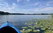 Kajak fahren auf dem Scharmützelsee, Foto: Tourismusverein Scharmützelsee