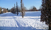 Winterlandschaft im Neuen Garten Potsdam, Foto: Diana Zippel, Lizenz: TMB Tourismus-Marketing Brandenburg GmbH