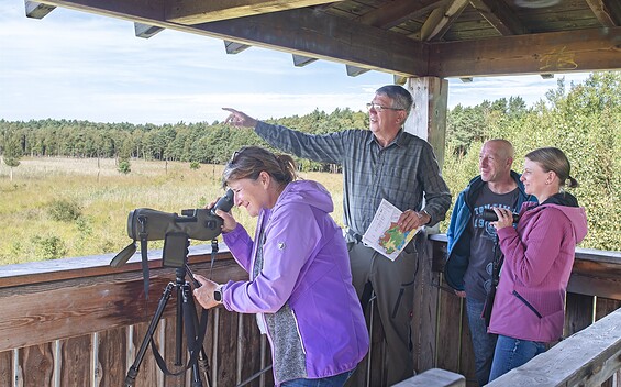 View of the Dubringer Moor, Foto: Nada Quenzel, Lizenz: Tourismusverband Lausitzer Seenland e.V./ Touristinformation Hoyerswerda