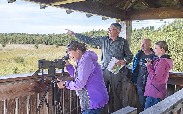 View of the Dubringer Moor, Foto: Nada Quenzel, Lizenz: Tourismusverband Lausitzer Seenland e.V./ Touristinformation Hoyerswerda