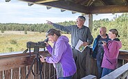 Blick in das Dubringer Moor, Foto: Nada Quenzel, Lizenz: Tourismusverband Lausitzer Seenland e.V./ Touristinformation Hoyerswerda