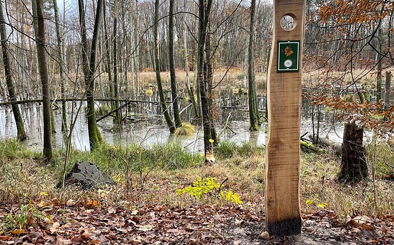 Hiking trail „Abenteuer mit Stobbi“