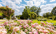 Ostdeutscher Rosengarten Forst (Lausitz), Foto: Patrick Lucia, Lizenz: PatLografie