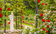 Hochstamm- und Edelrosengarten, Foto: Patrick Lucia, Lizenz: PatLografie