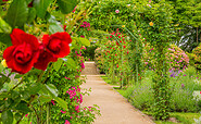 Jubiläumsgarten, Foto: Patrick Lucia, Lizenz: PatLografie