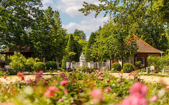 Ostdeutscher Rosengarten Forst (Lausitz)