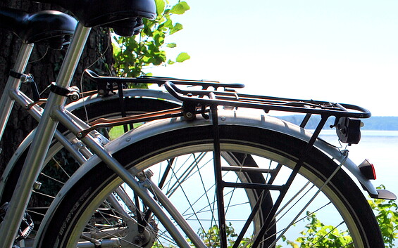 bike rental at the Lake Scharmützelsee, Foto: Danny Morgenstern, Lizenz: Fourismusverein Scharmützelsee