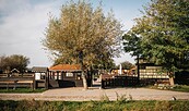 Kinderbauernhof Marienhof, Foto: Steven Ritzer, Lizenz: Tourismusverband Havelland e.V.