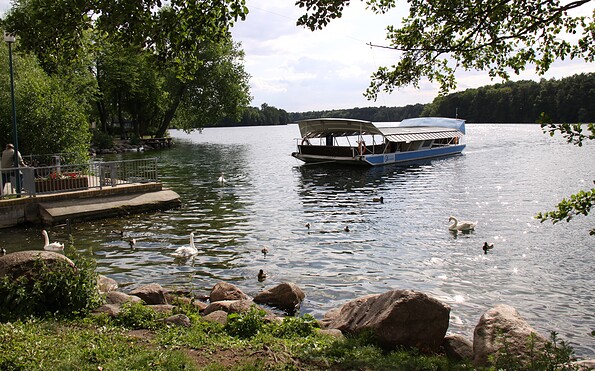 Strausseefähre in Strausberg, Foto: Micheal Schön