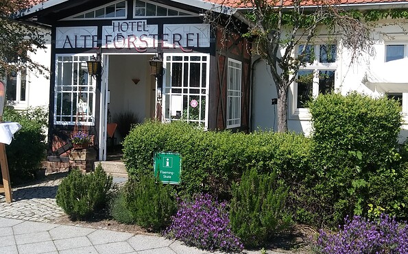 Sommertage, Foto: Alte Försterei Kloster Zinna, Lizenz: Gabriele Ewald