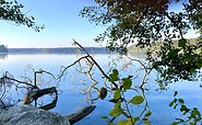 Blick auf den Stechlinsee, Foto: Itta Olaj, Lizenz: Tourismusverband Ruppiner Seenland e.V.