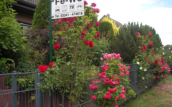 Ferienwohnung Wronski, Foto: Helmtraud Wronski