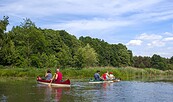 Paddeln auf der Schwarzen Elster zum Kleinen Spreewald, Foto: LKEE_Andreas Franke, Lizenz: LKEE_Andreas Franke