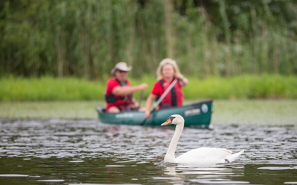 Kanutour auf der Spree bei Beeskow, Foto: Florian Läufer, Lizenz: Seenland Oder-Spree