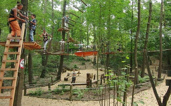 Kletterwald Grünheide, Foto: Dirk Hertam