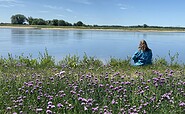 View of the Elbe, Foto: Jeannette Küther, Lizenz: Kultur-, Sport- und Tourismusbetrieb Eigenbetrieb der Stadt Wittenberge