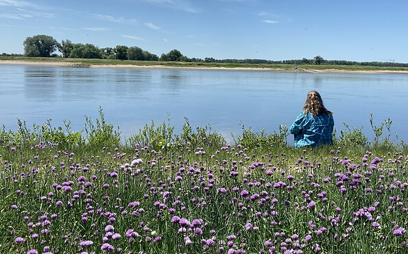 View of the Elbe, Foto: Jeannette Küther, Lizenz: Kultur-, Sport- und Tourismusbetrieb Eigenbetrieb der Stadt Wittenberge