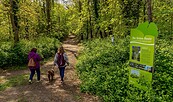 Grüne Route -Stadtpark, Foto: Anja Möller _ prignitzliebe, Lizenz: Kultur-, Sport- und Tourismusbetrieb Eigenbetrieb der Stadt Wittenberge