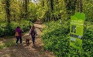 Grüne Route - Stadtpark, Foto: Anja Möller _prignitzliebe, Lizenz: Kultur-, Sport- und Tourismusbetrieb Eigenbetrieb der Stadt Wittenberge