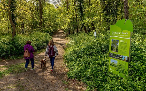 Grüne Route - Stadtpark, Foto: Anja Möller _prignitzliebe, Lizenz: Kultur-, Sport- und Tourismusbetrieb Eigenbetrieb der Stadt Wittenberge