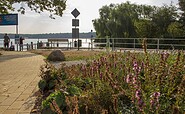 Buergerpark Gruenheide, Foto: ScottyScout, Lizenz: TMB-Fotoarchiv