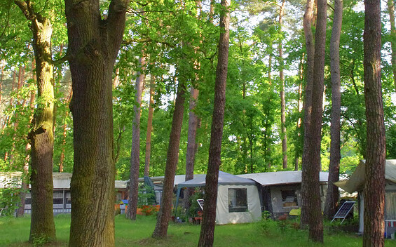 Campingverein Möllensee Nord, Foto: Gemeinde Grünheide (Mark)