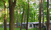 Campingverein Möllensee Nord, Foto: Gemeinde Grünheide (Mark)