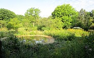Teich im Kräutergarten der Spreewald Kräuterey Burg, Foto: I. Rüffreck (BR Spreewald), Lizenz: LfU Brandenburg