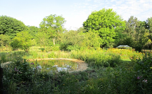 Teich im Kräutergarten der Spreewald Kräuterey Burg, Foto: I. Rüffreck (BR Spreewald), Lizenz: LfU Brandenburg