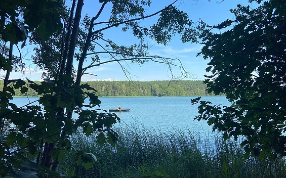 Badestelle Springsee, Foto: Tourismusverein Scharmützelsee