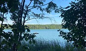 Badestelle Springsee, Foto: Tourismusverein Scharmützelsee