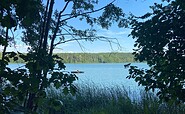 Badestelle Springsee, Foto: Tourismusverein Scharmützelsee