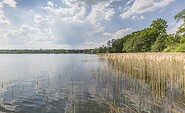 Bad Saarow, Foto: Steffen Lehmann , Lizenz: TMB-Fotoarchiv